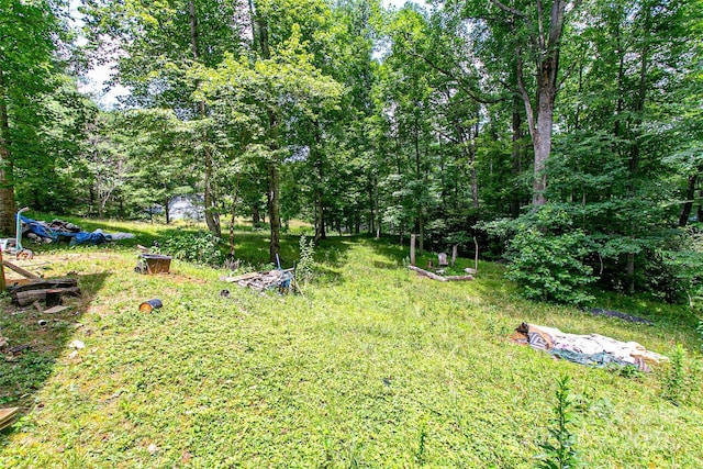 164 Horseplay Ln, Lake Toxaway, NC 28747 - view of yard