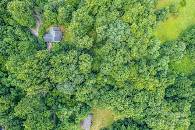 164 Horseplay Ln, Lake Toxaway, NC 28747 - aerial overview of property's location with a forest