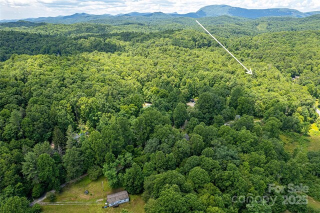 164 Horseplay Ln, Lake Toxaway, NC 28747 - aerial view of a forest and mountains