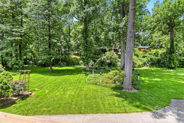 701 4th Ave NE, Conover, NC 28613 - view of green lawn