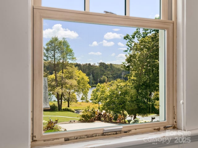 17 Marlborough Rd, Asheville, NC 28804 - photo 25