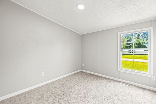 1133 Lynn Ln, Catawba, NC 28609 - spare room with a textured ceiling and carpet