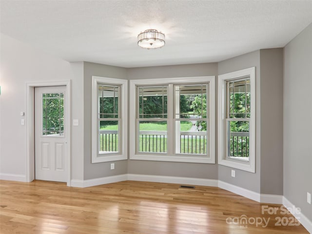278 Ollie Weaver Rd, Weaverville, NC 28787 - spare room with plenty of natural light and light wood finished floors