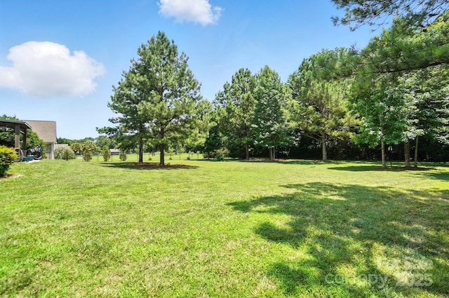 1006 Spring Rose Ln, Matthews, NC 28104 - view of green lawn