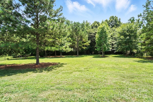 1006 Spring Rose Ln, Matthews, NC 28104 - view of yard