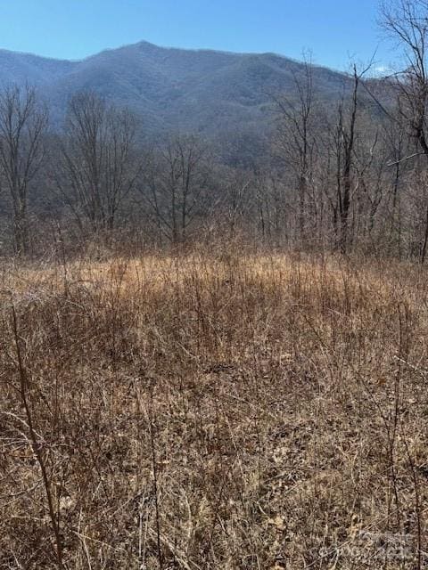 TBD Rickman Ridge, Canton, NC 28716 - photo 1