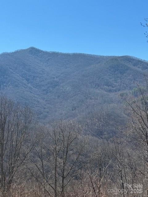 TBD Rickman Ridge, Canton, NC 28716 - photo 2