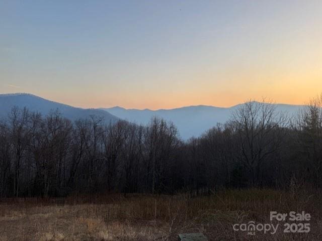 TBD Rickman Ridge, Canton, NC 28716 - photo 3