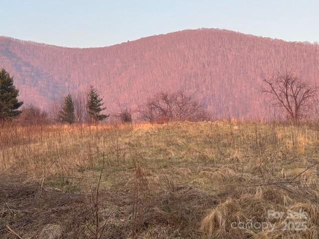 TBD Rickman Ridge, Canton, NC 28716 - photo 6