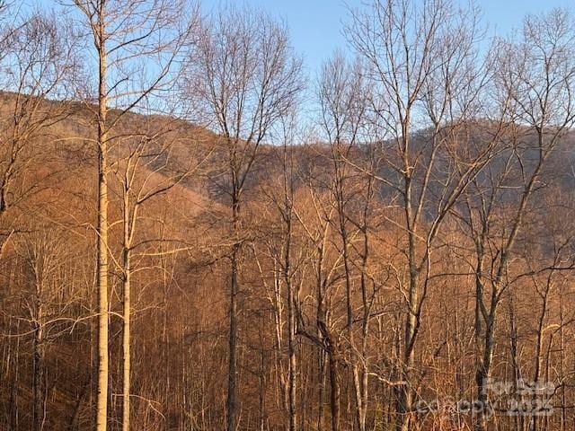 TBD Rickman Ridge, Canton, NC 28716 - photo 8