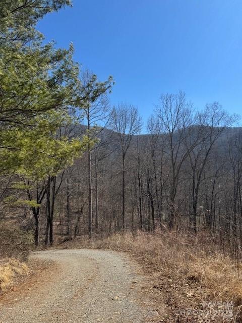 TBD Rickman Ridge, Canton, NC 28716 - photo 10