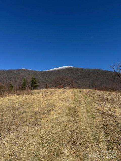 TBD Rickman Ridge, Canton, NC 28716 - photo 11