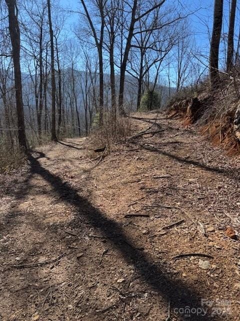 TBD Rickman Ridge, Canton, NC 28716 - photo 13