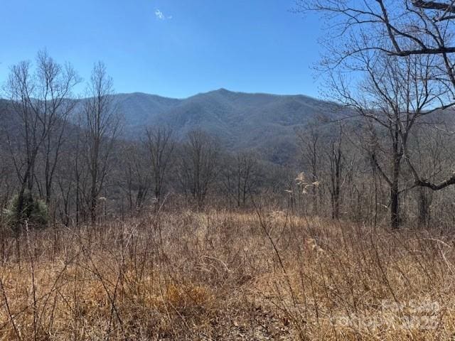 TBD Rickman Ridge, Canton, NC 28716 - photo 14