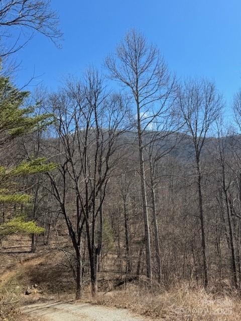 TBD Rickman Ridge, Canton, NC 28716 - photo 16