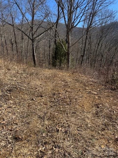 TBD Rickman Ridge, Canton, NC 28716 - photo 20