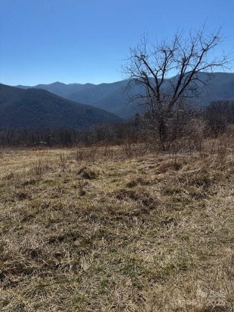 TBD Rickman Ridge, Canton, NC 28716 - photo 22