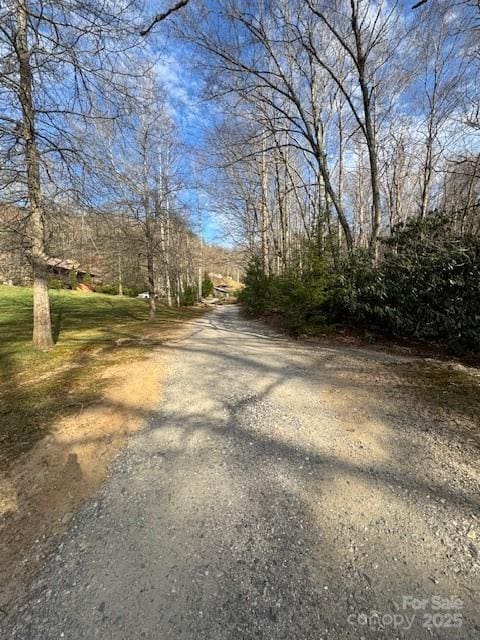 TBD Rickman Ridge, Canton, NC 28716 - photo 24