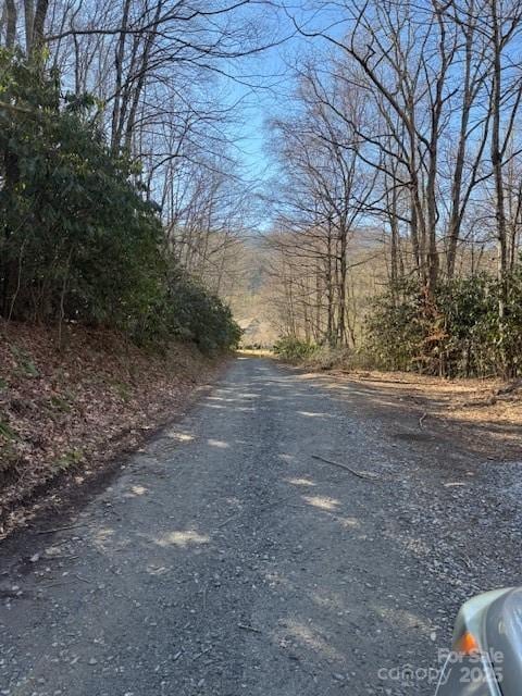 TBD Rickman Ridge, Canton, NC 28716 - photo 25