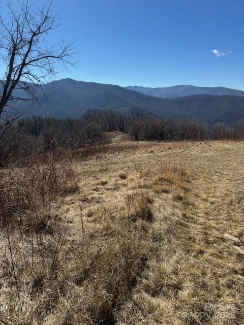 TBD Rickman Ridge, Canton, NC 28716 - photo 26