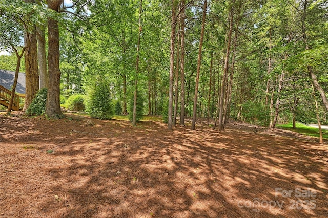 19900 Stough Farm Rd, Cornelius, NC 28031 - photo 29