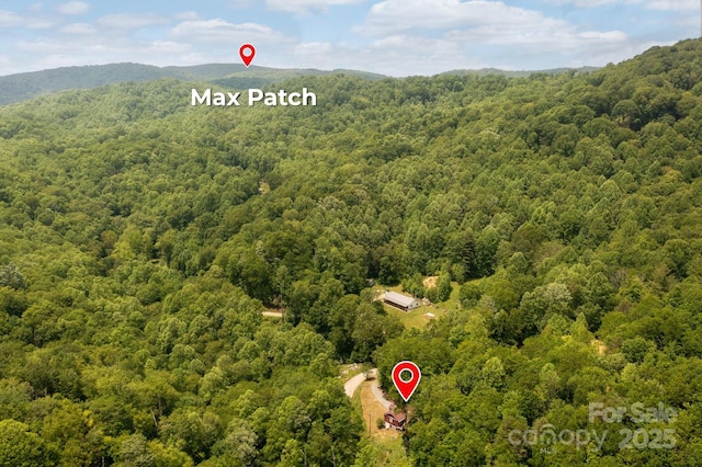 1712 Little Creek Rd, Hot Springs, NC 28743 - photo 5