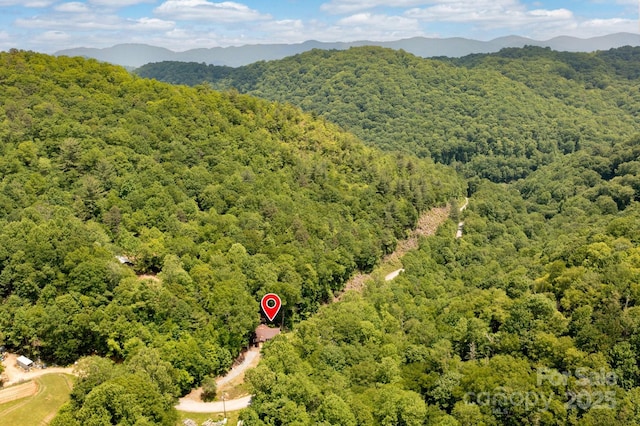 1712 Little Creek Rd, Hot Springs, NC 28743 - photo 20