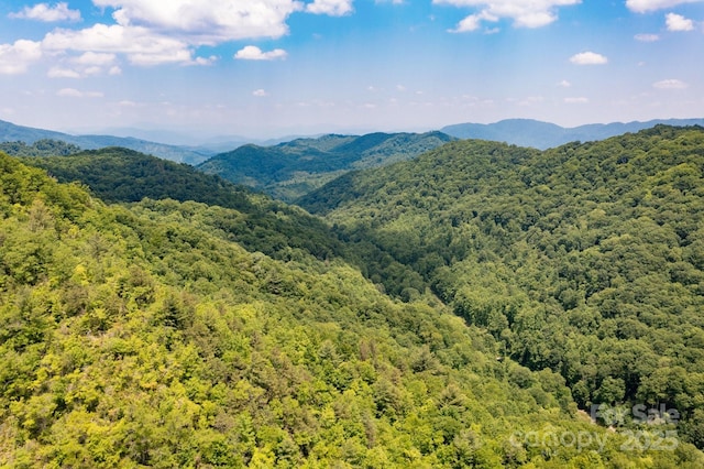 1712 Little Creek Rd, Hot Springs, NC 28743 - photo 21