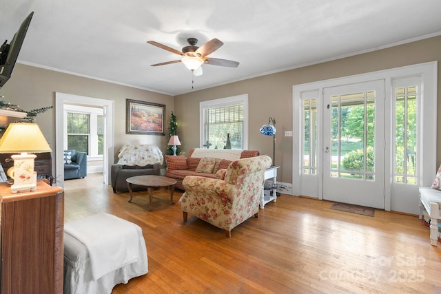 313 E Main St, Morganton, NC 28655 - living area with light wood-type flooring, a ceiling fan, and crown molding