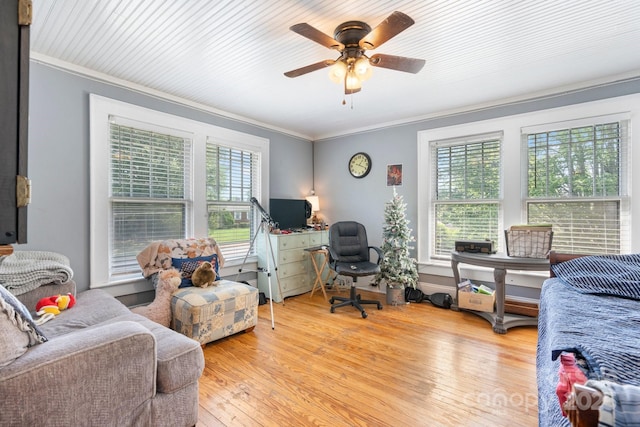 313 E Main St, Morganton, NC 28655 - bedroom featuring crown molding, multiple windows, light wood-type flooring, and ceiling fan