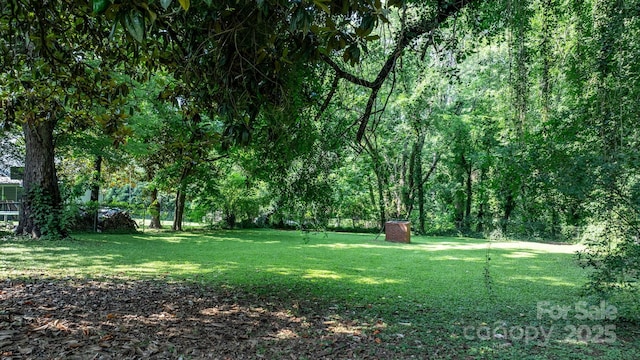 313 E Main St, Morganton, NC 28655 - view of yard featuring a shed