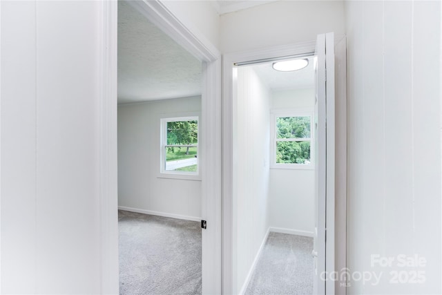 76 Trent Rd, Brevard, NC 28712 - photo 20