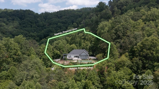 225 Calm Creek Rd, Fletcher, NC 28732 - photo 45