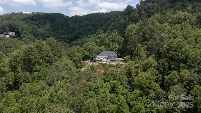 225 Calm Creek Rd, Fletcher, NC 28732 - photo 47