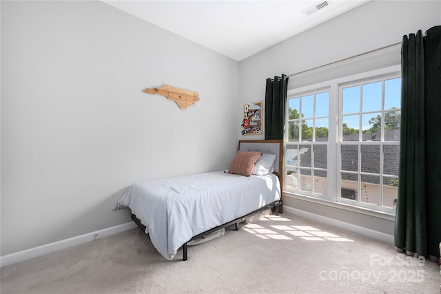 13831 Cinnabar Pl, Huntersville, NC 28078 - photo 28