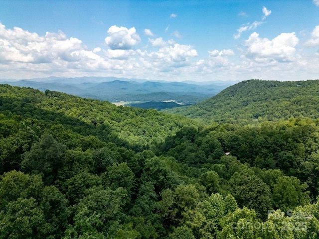 216 Tinequa Dr, Brevard, NC 28712 - photo 2