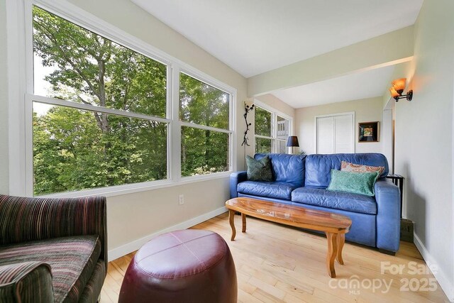 216 Tinequa Dr, Brevard, NC 28712 - photo 21