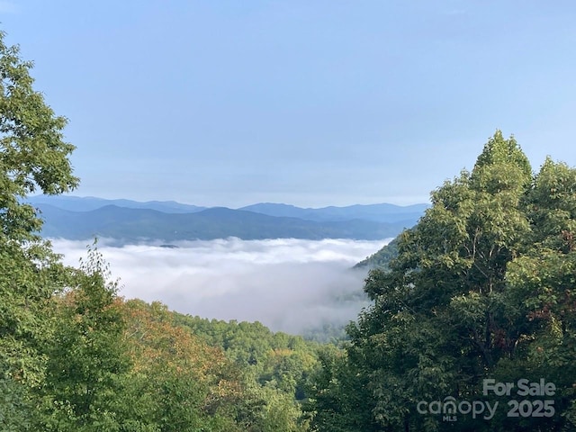 216 Tinequa Dr, Brevard, NC 28712 - photo 20