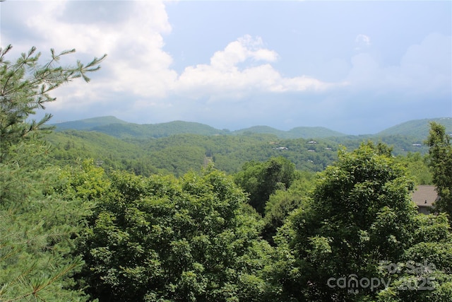 372 Silver Springs Dr Unit 20, Banner Elk, NC 28604 - photo 4