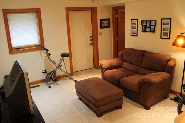 372 Silver Springs Dr Unit 20, Banner Elk, NC 28604 - photo 23