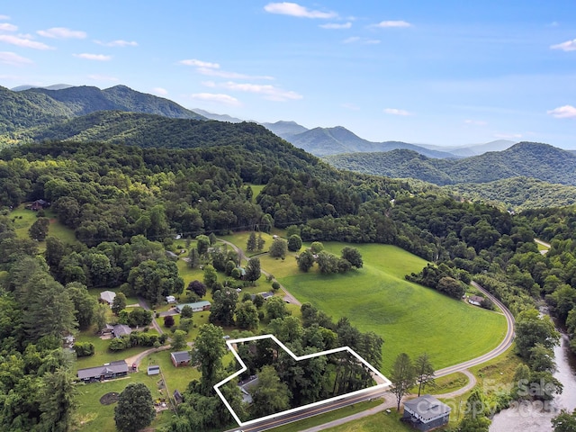 29 Winterberry Dr, Cullowhee, NC 28723 - photo 4