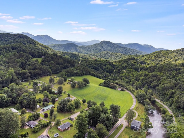 29 Winterberry Dr, Cullowhee, NC 28723 - photo 18