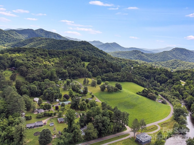 29 Winterberry Dr, Cullowhee, NC 28723 - photo 19