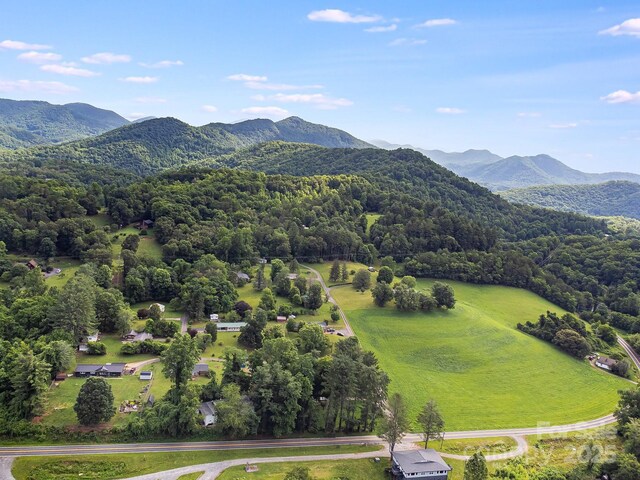 29 Winterberry Dr, Cullowhee, NC 28723 - photo 20