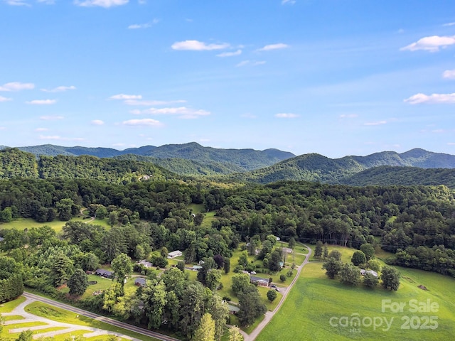 29 Winterberry Dr, Cullowhee, NC 28723 - photo 21