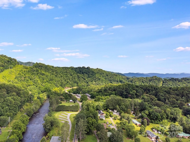 29 Winterberry Dr, Cullowhee, NC 28723 - photo 22