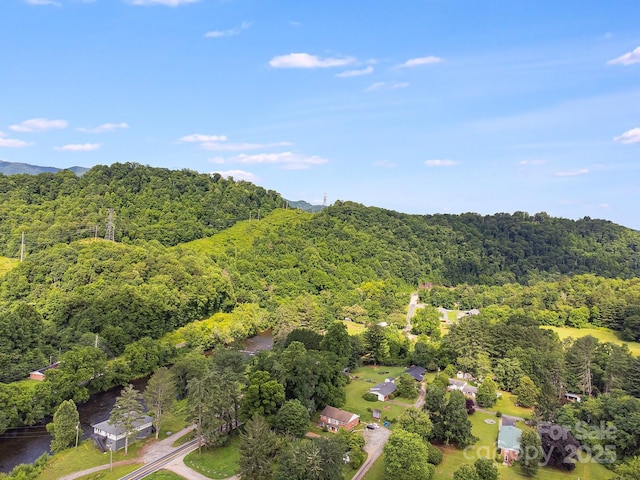 29 Winterberry Dr, Cullowhee, NC 28723 - photo 23