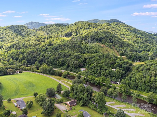 29 Winterberry Dr, Cullowhee, NC 28723 - photo 25