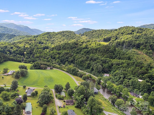 29 Winterberry Dr, Cullowhee, NC 28723 - photo 26