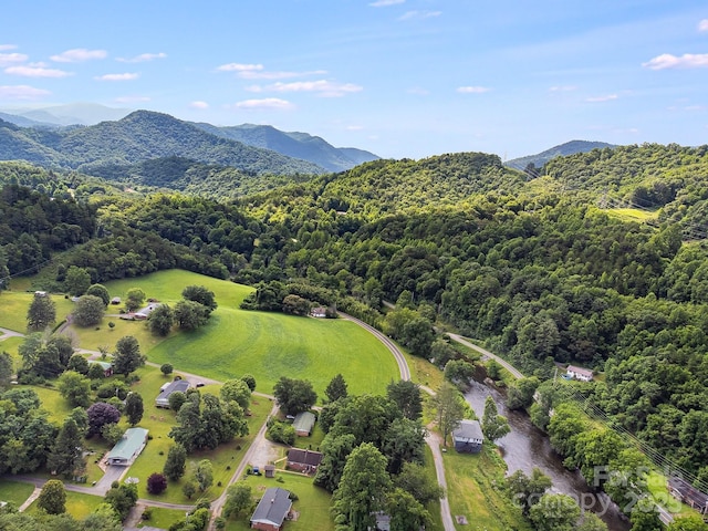 29 Winterberry Dr, Cullowhee, NC 28723 - photo 27